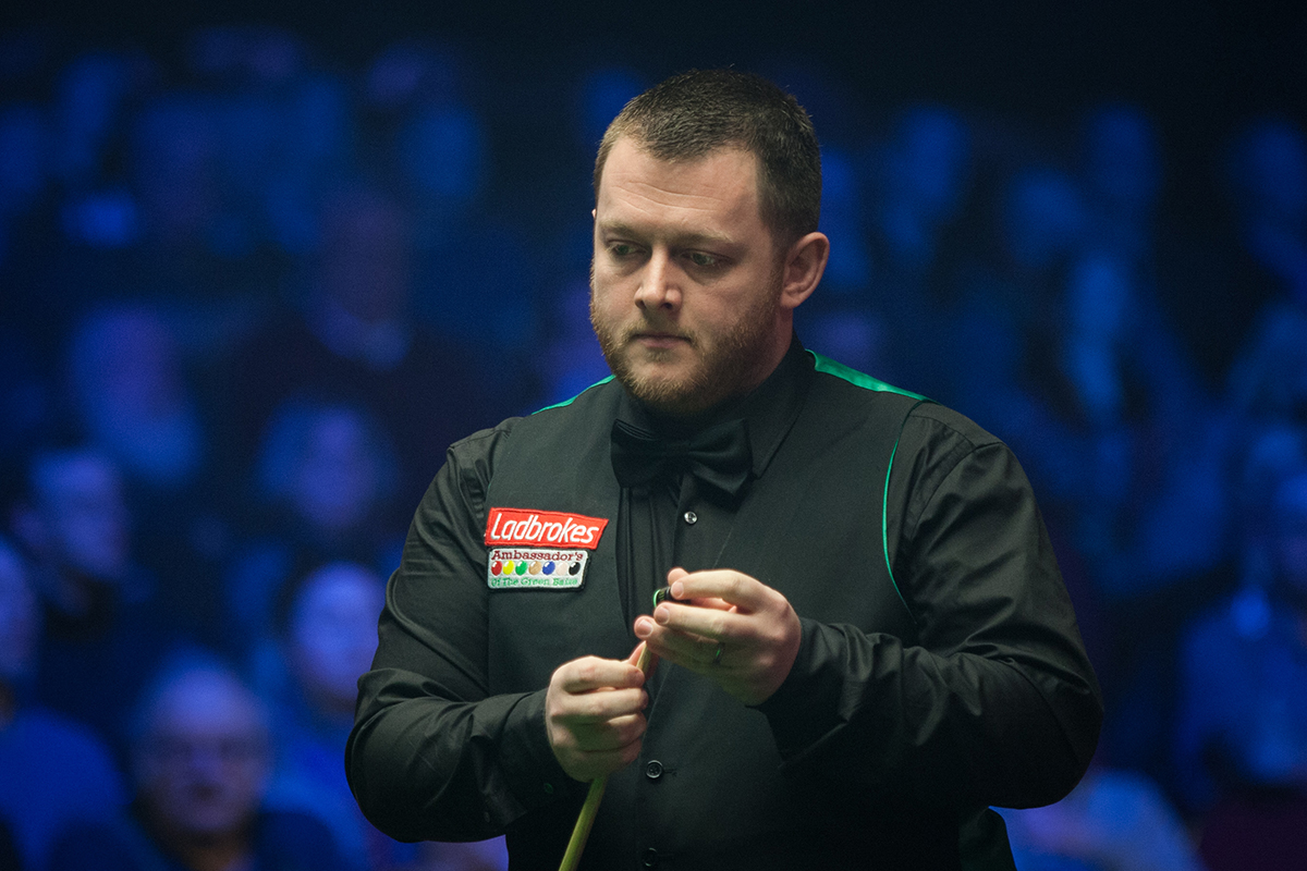 根本不用多 根本不用多